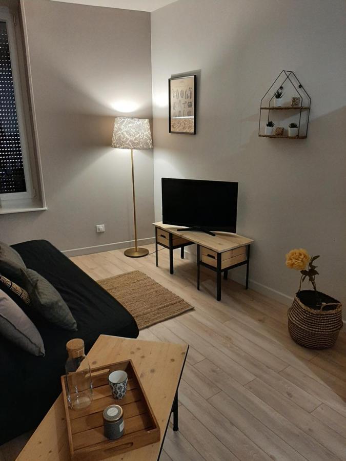LOUHANS Les Petites Arcades avec ses deux appartements coté seille et coté jardin Exterior foto